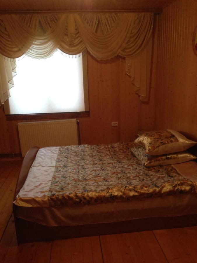 Ferienwohnung Карпатська Перлина Iltsi Exterior foto