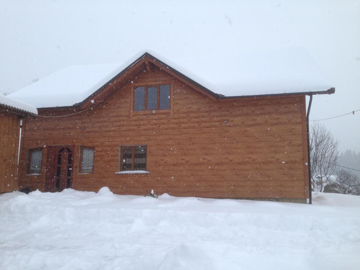 Ferienwohnung Карпатська Перлина Iltsi Exterior foto