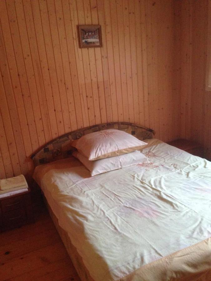 Ferienwohnung Карпатська Перлина Iltsi Exterior foto